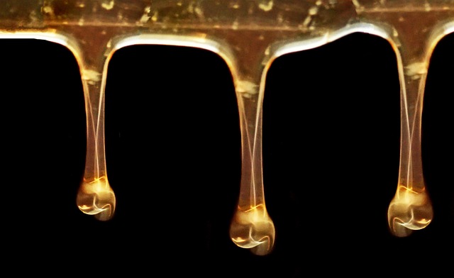 Honey Article